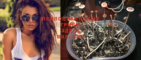 MESCALINE Алзамай