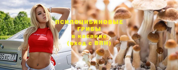 Альфа ПВП Алексеевка